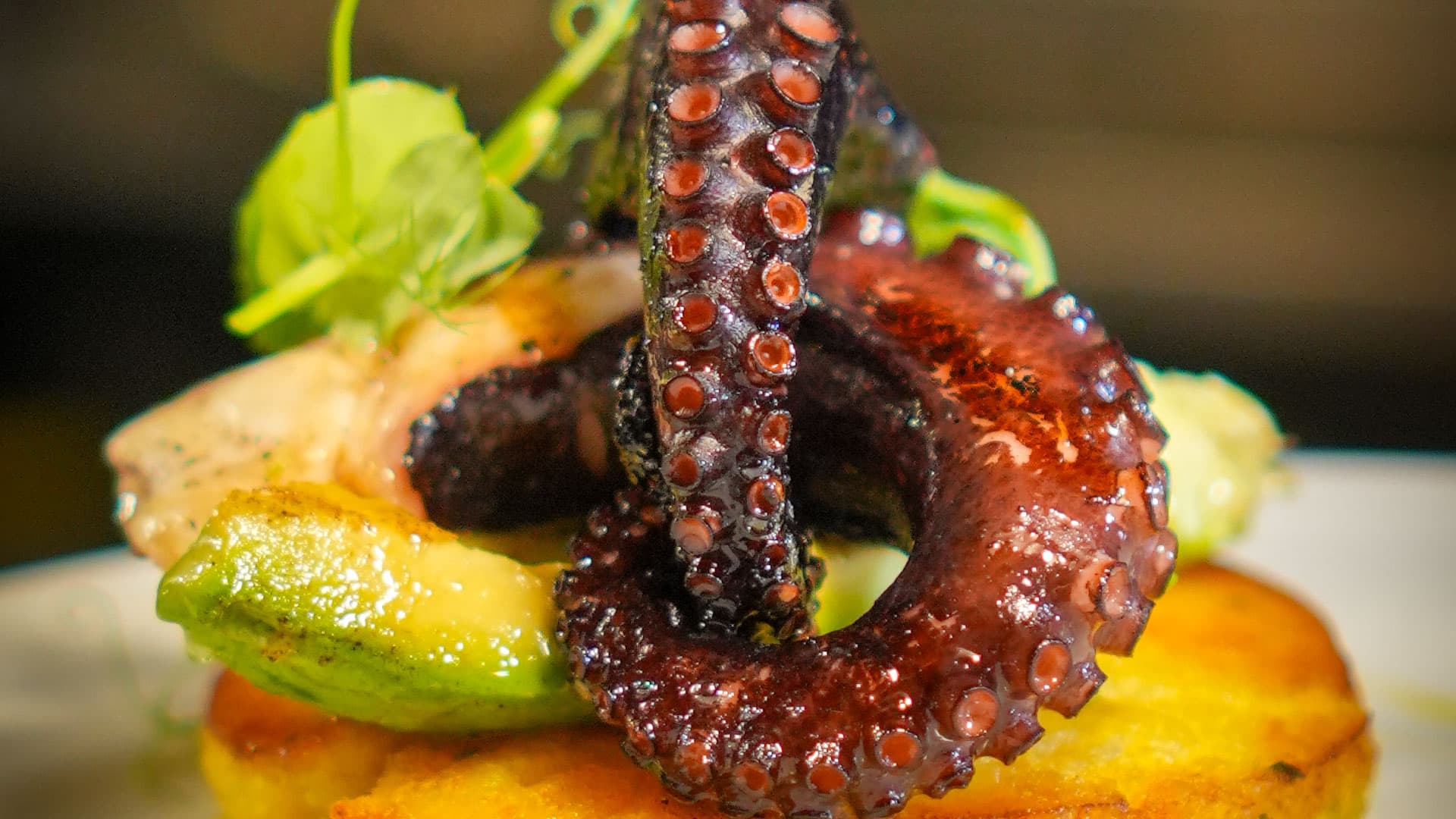 grupo-avero-banner-home-05